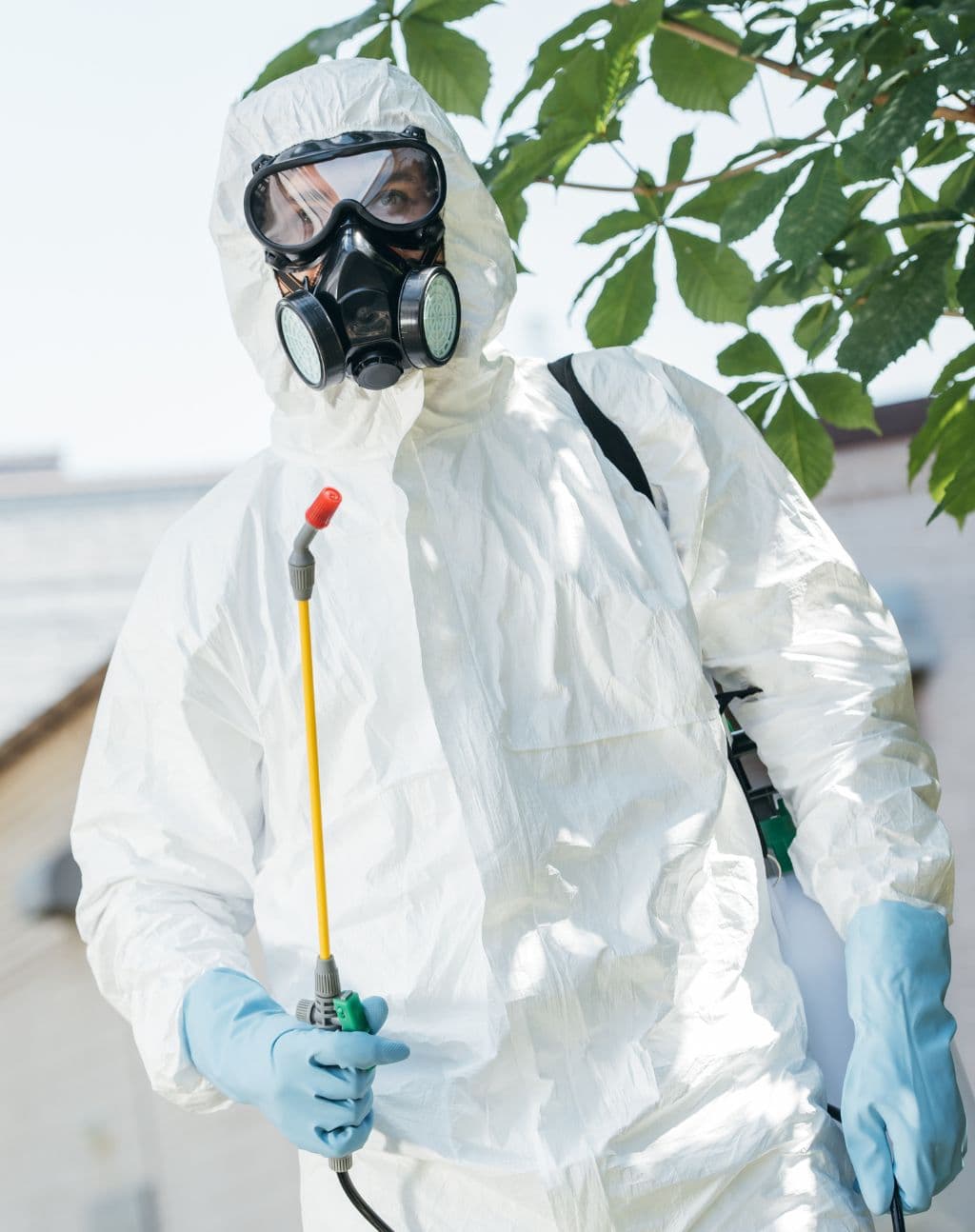 pest control services near me