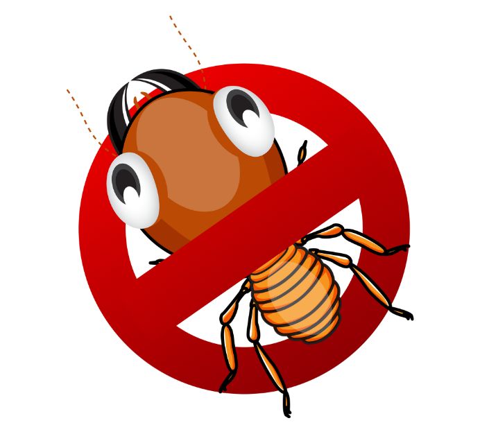 anti termite treatment