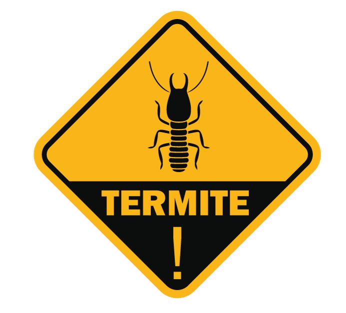 termite treatment