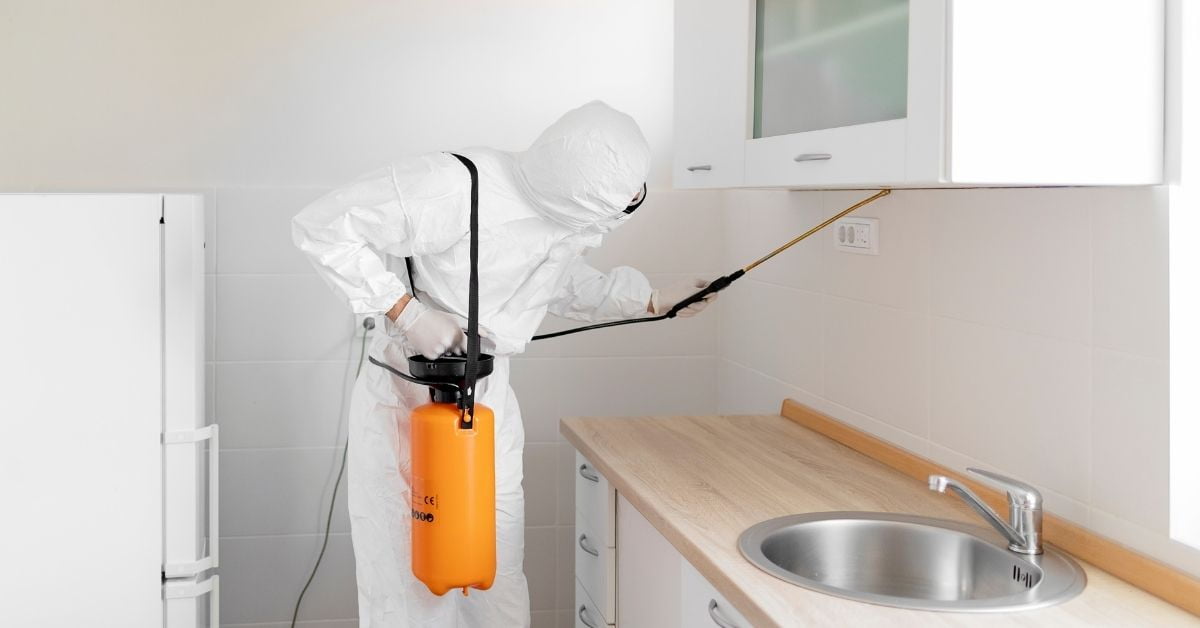 Pest Control in Bangalore