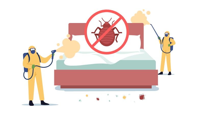 Bed bugs treatment