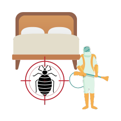 Bed bugs Treatment