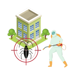 pest control in bangalore